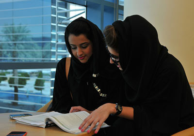 性能优化极致的ip攻击器网页版